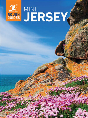 cover image of Rough Guides Mini Jersey